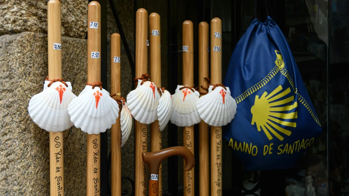 Bordones de peregrino con conchas de vieira y mochila del Camino de Santiago en un escaparate
